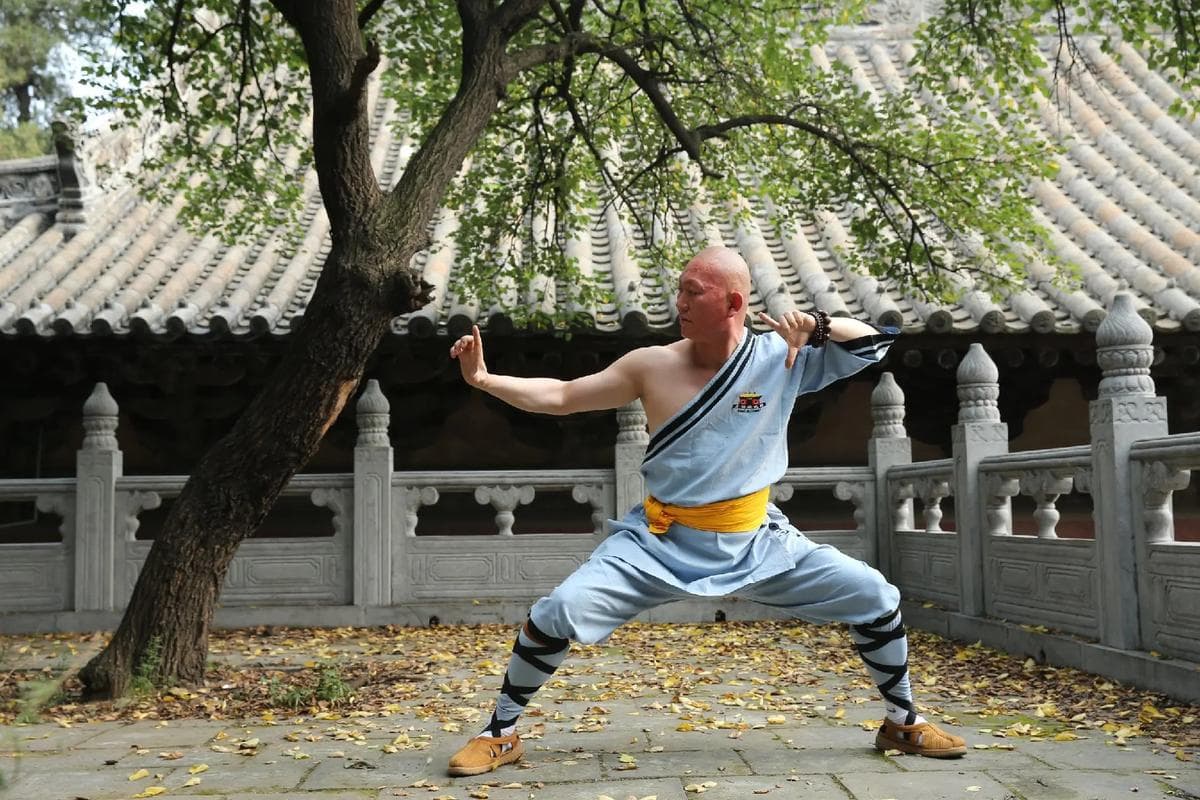 Shaolin Kung Fu Performance