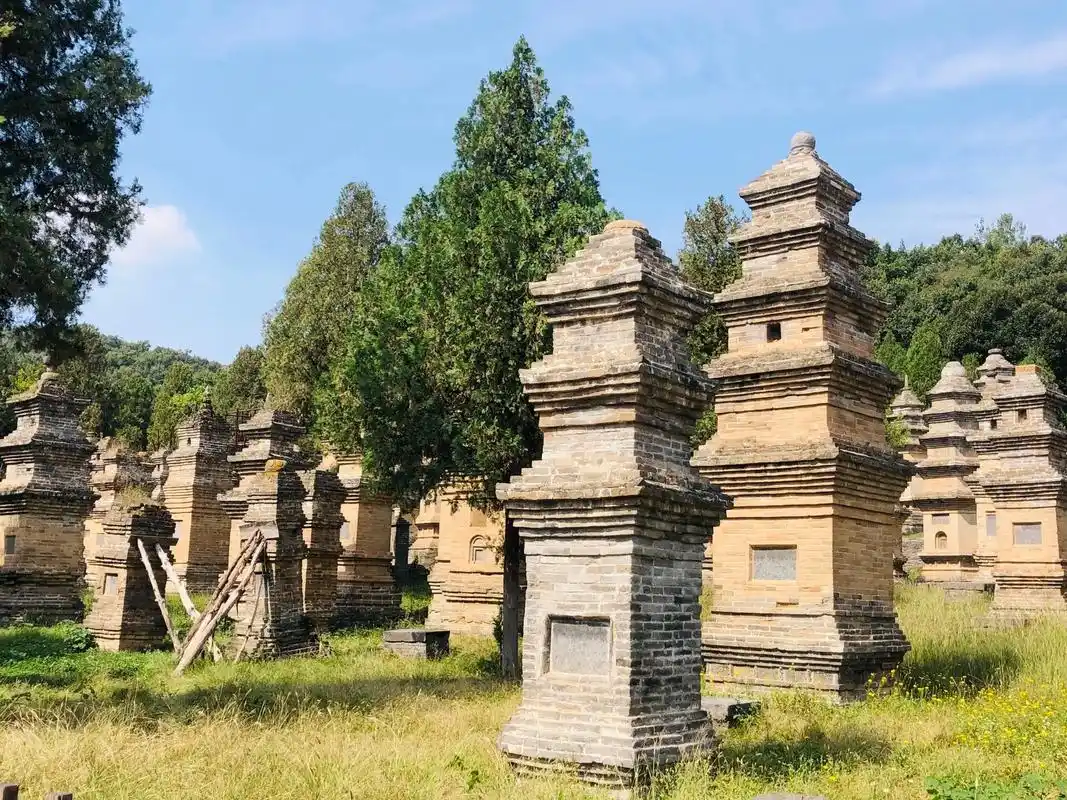 Pagoda Forest