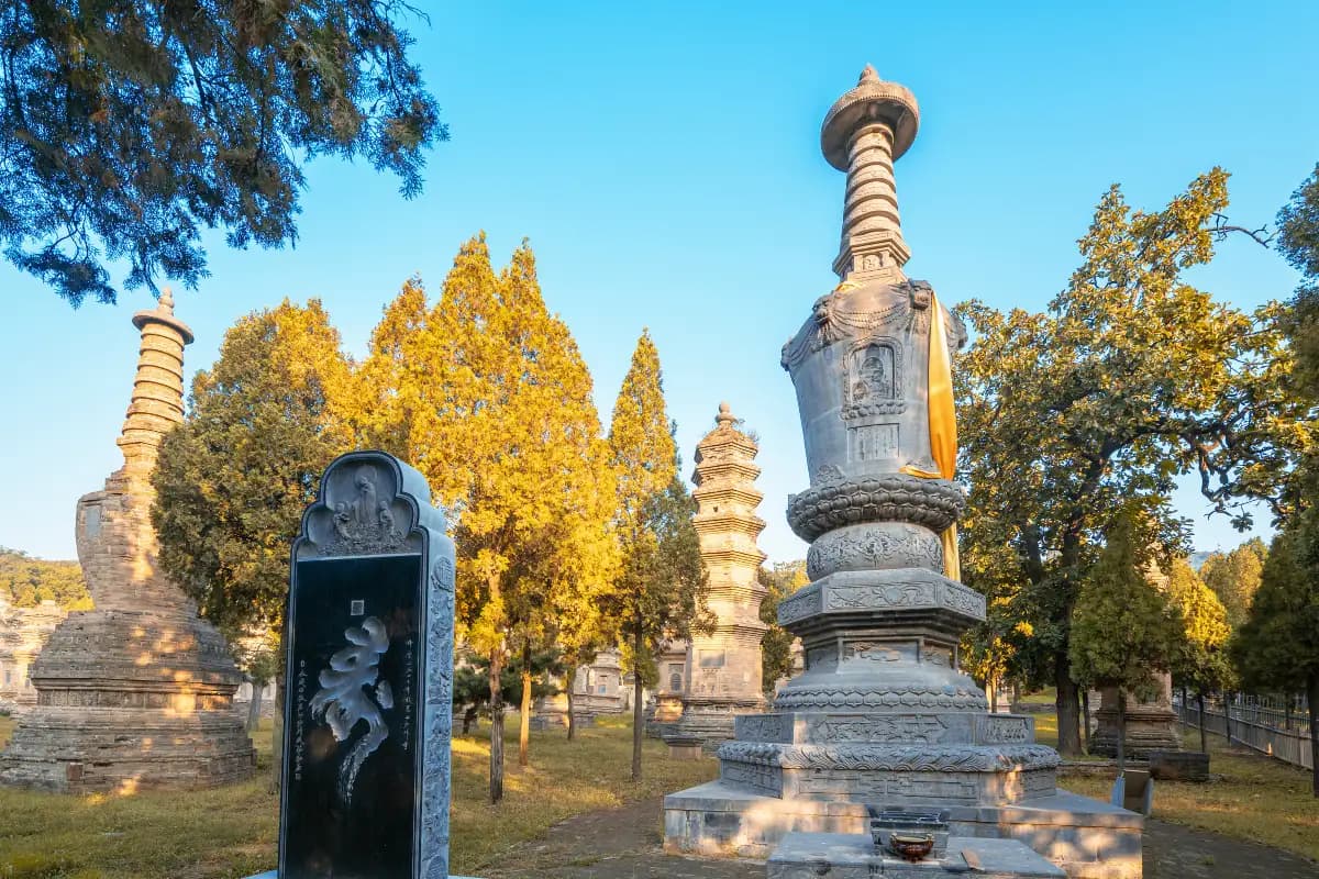 Pagoda Forest