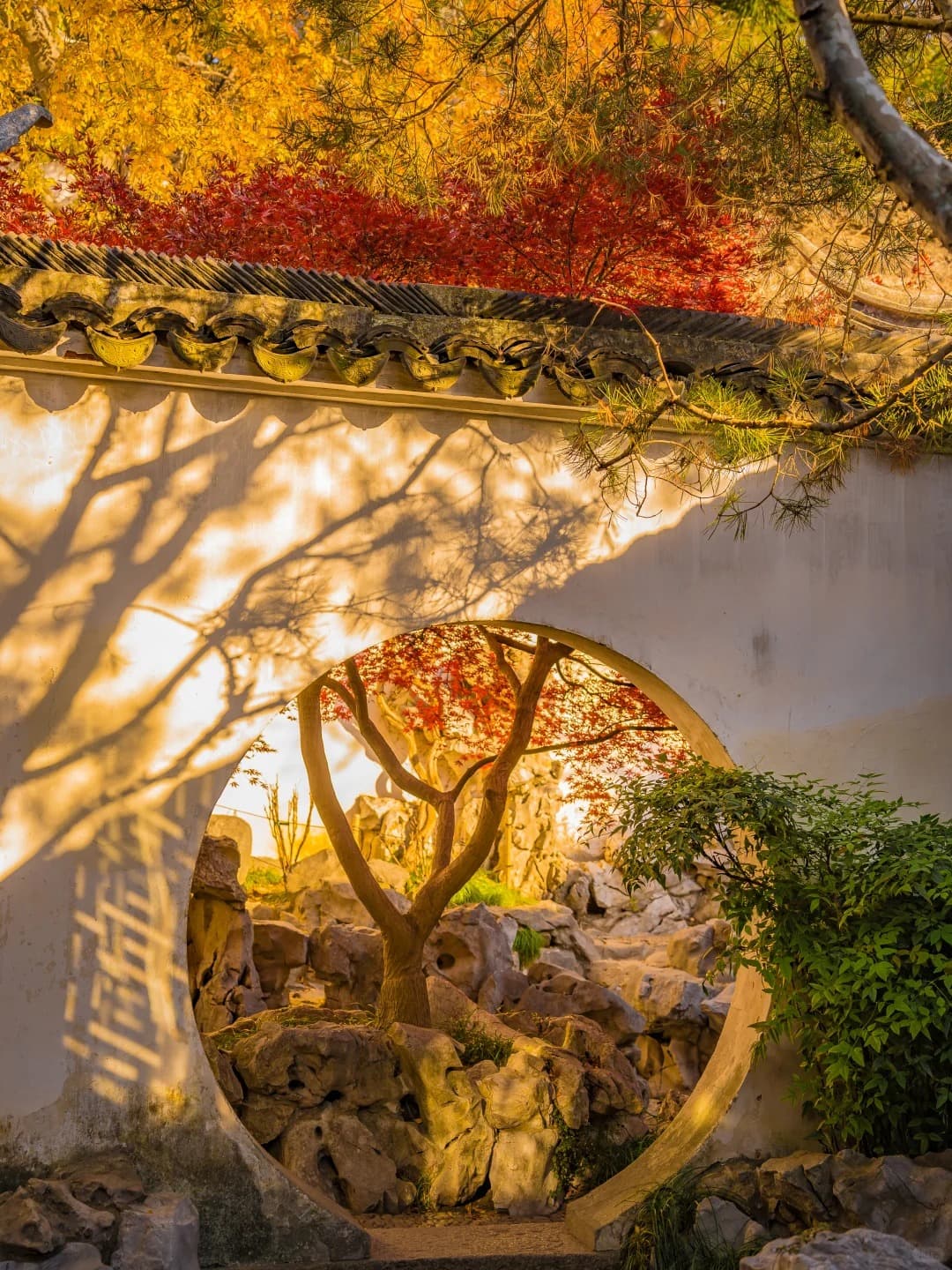 Lingering Garden Suzhou (7)