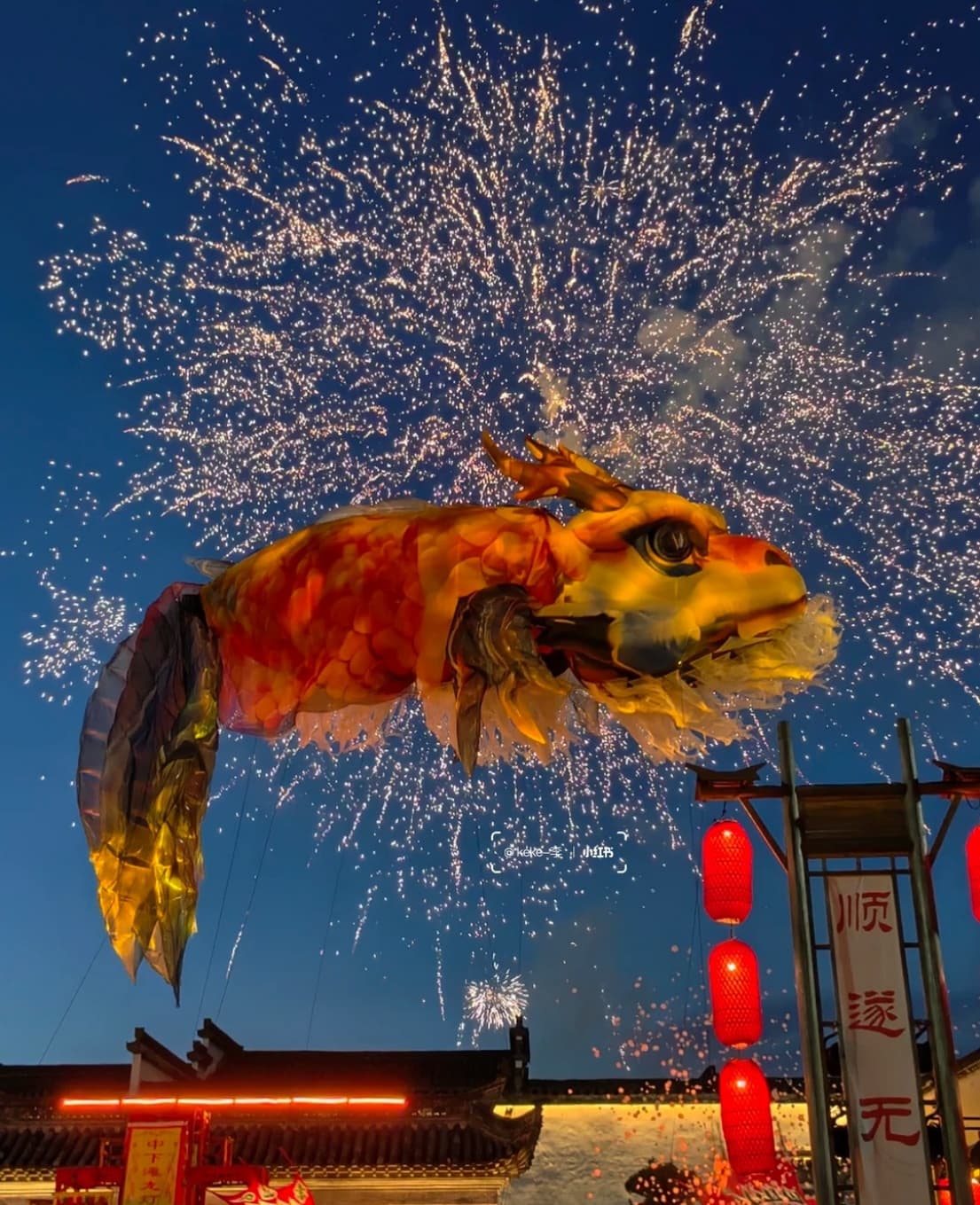 Tangmo Fish Lantern Night Experience