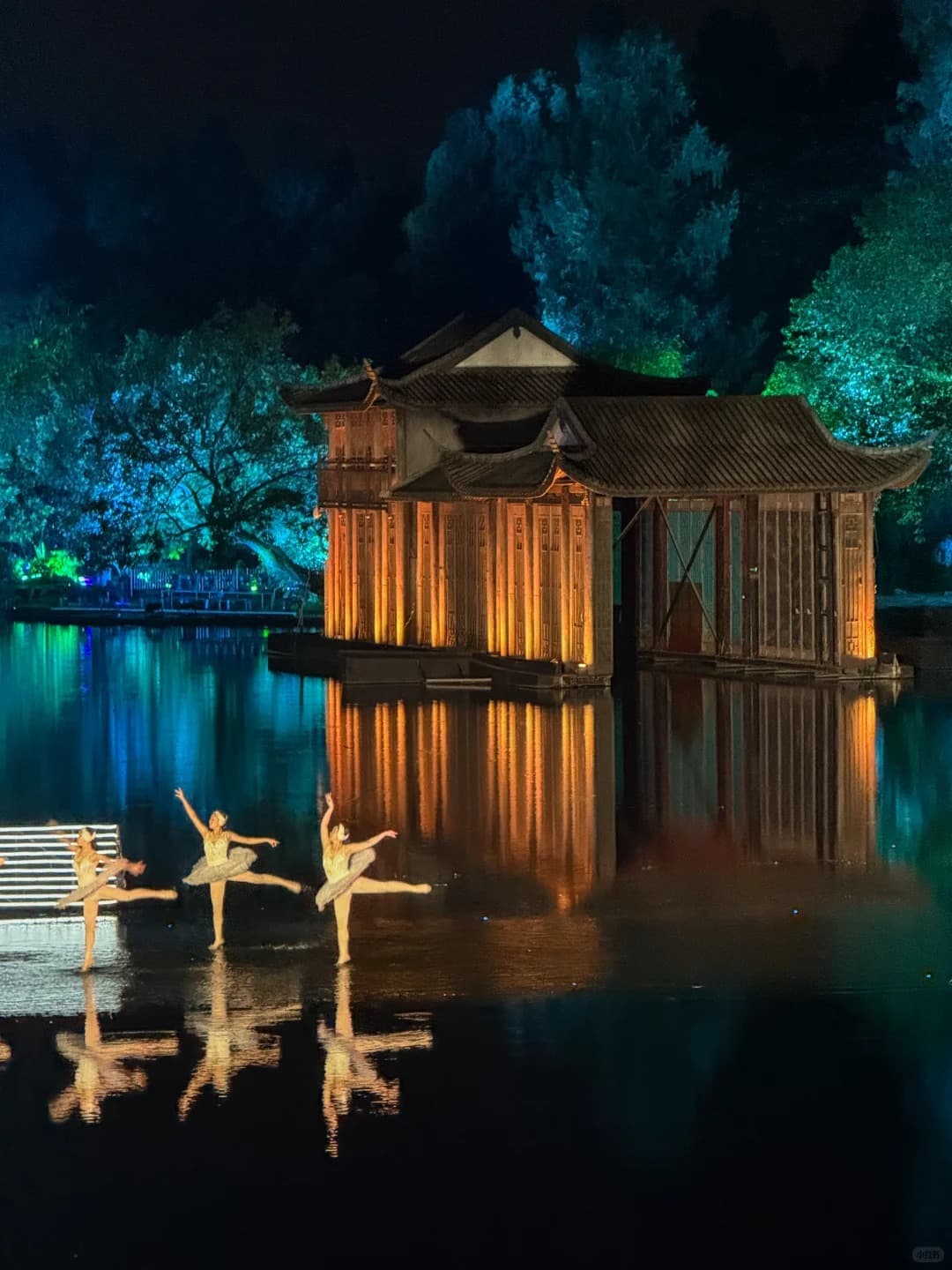 impression west lake show (6)