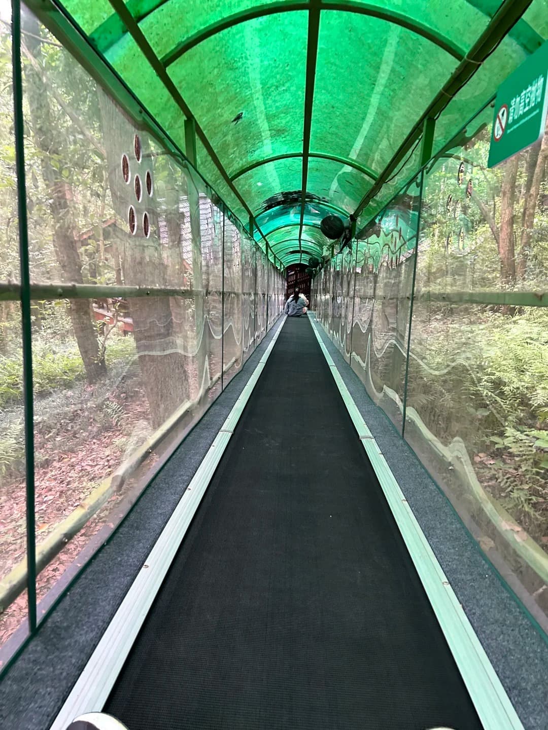 Lingqi Cave Magic Carpet Ride