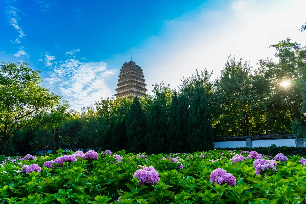 Xi'an Small Wild Goose Pagoda 1