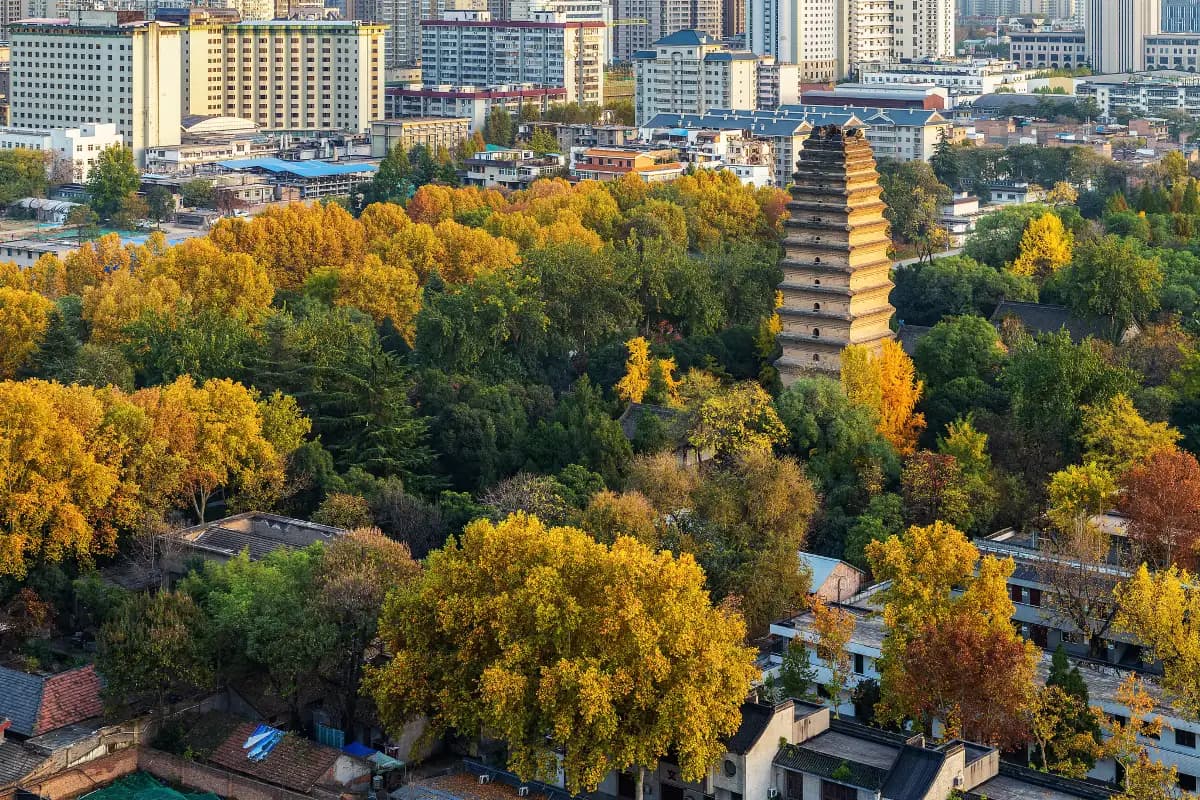 Xi'an Small Wild Goose Pagoda
