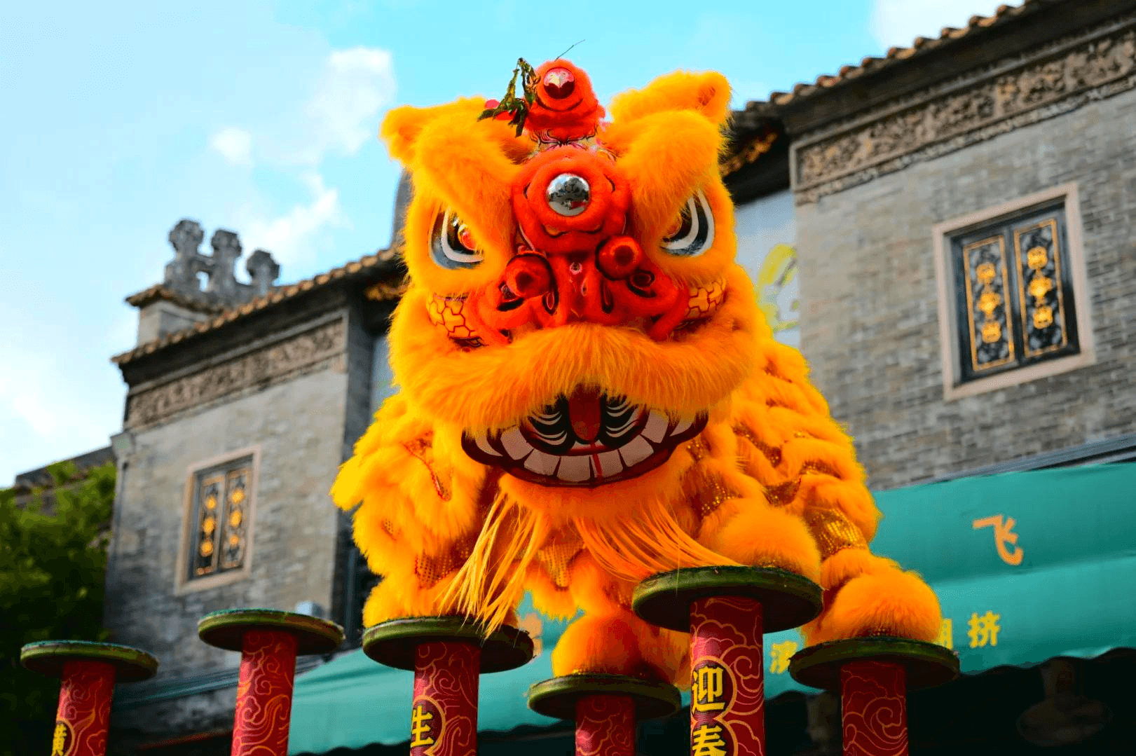 Foshan Lion Dance Performance & Cultural Experience