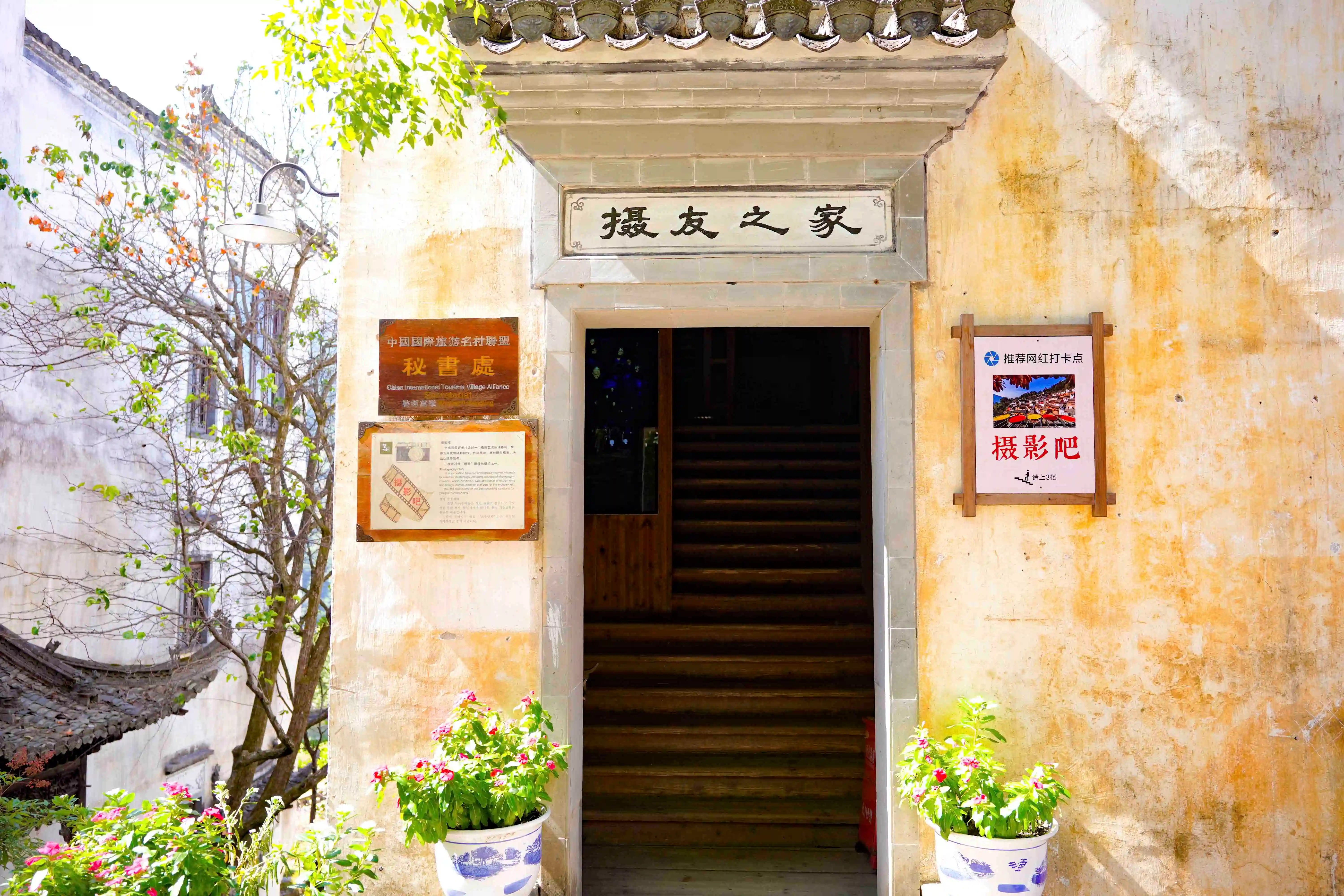 Photography Bar
