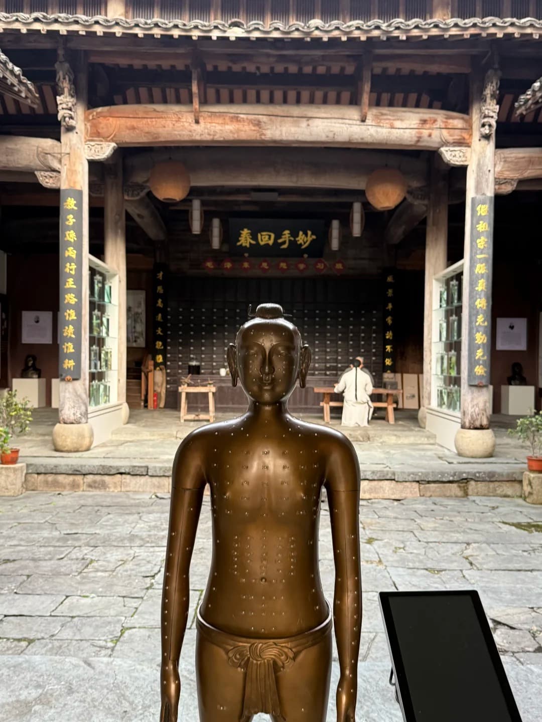 Experience Pulse Consultation & Traditional Wellness Treatments