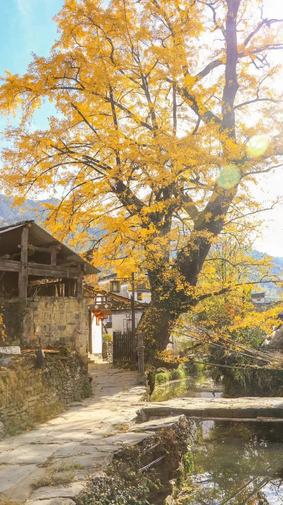 2-Day Wuyuan Ancient Villages & Huangling Countryside Tour