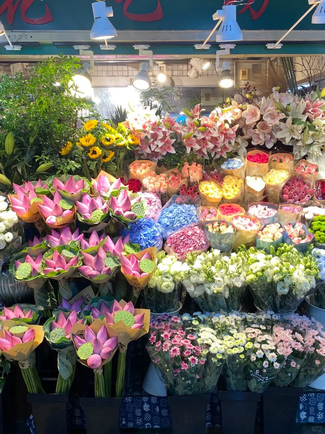 Discover Hangzhou’s Local Life Through Plants, Pets & Everyday Culture