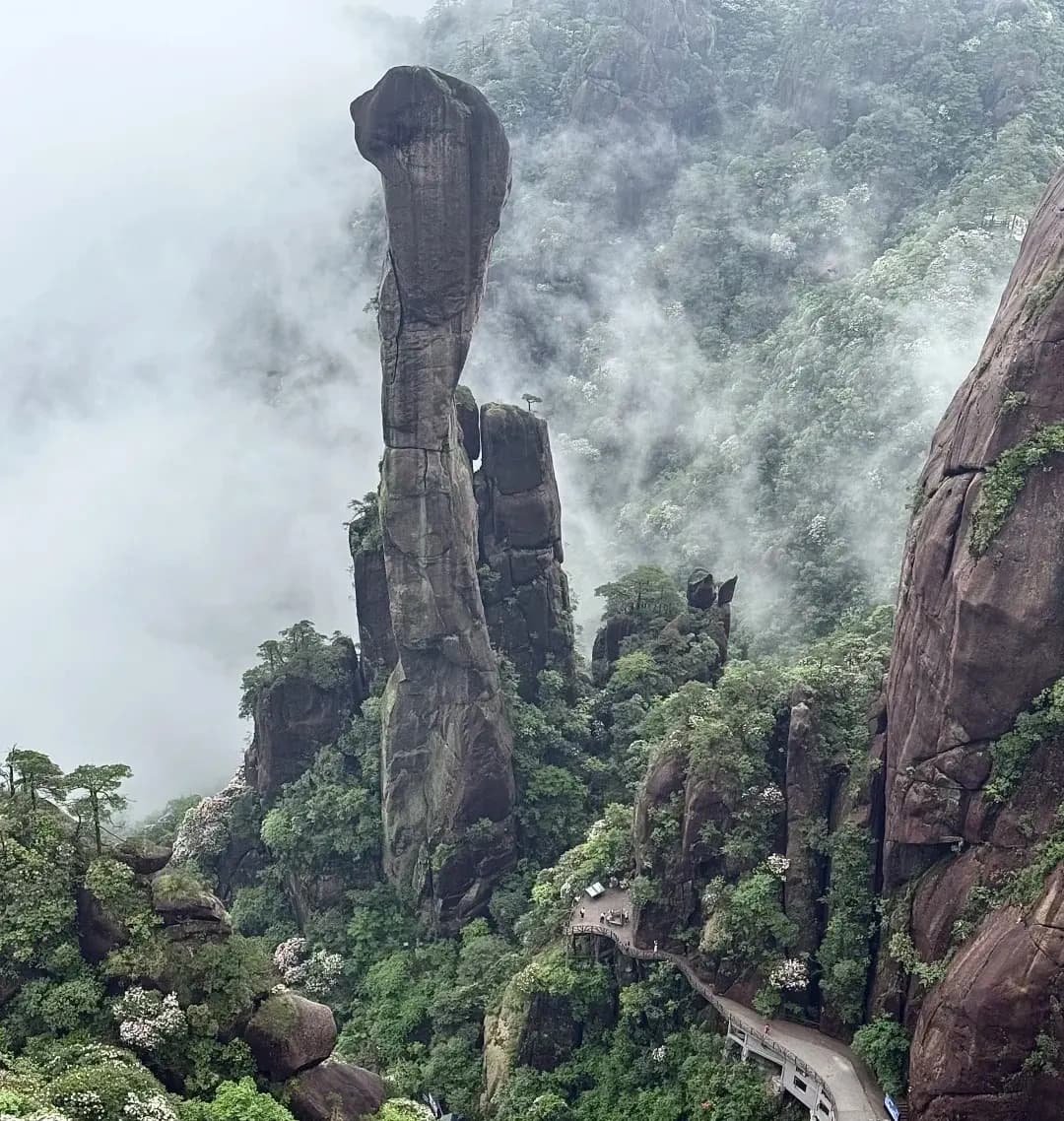 4-Day Jiangxi Cultural & Scenic Tour: Wuyuan, Sanqingshan & Jingdezhen