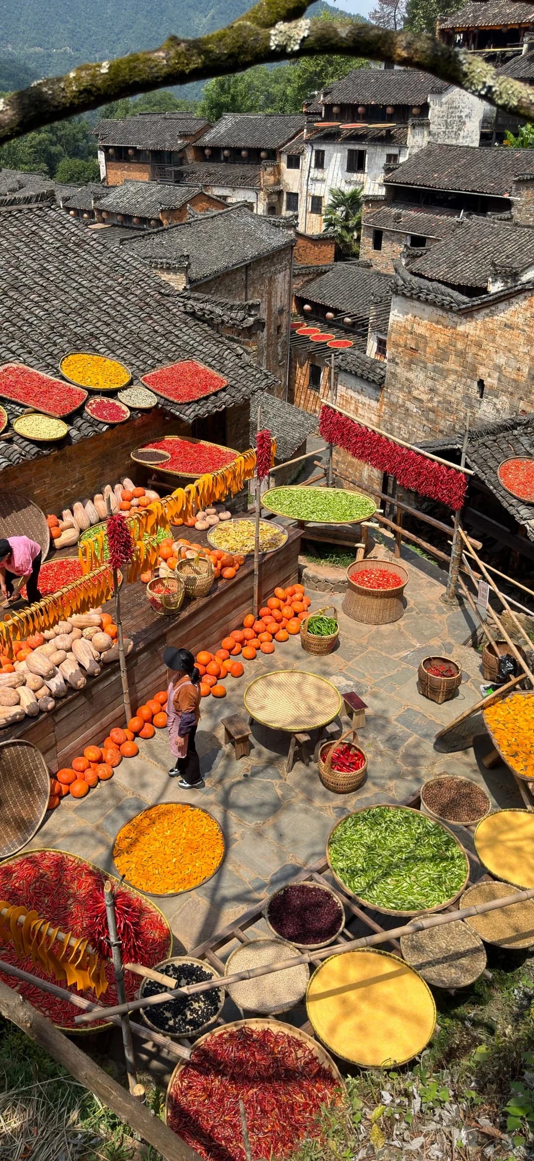 Shai Qiufang