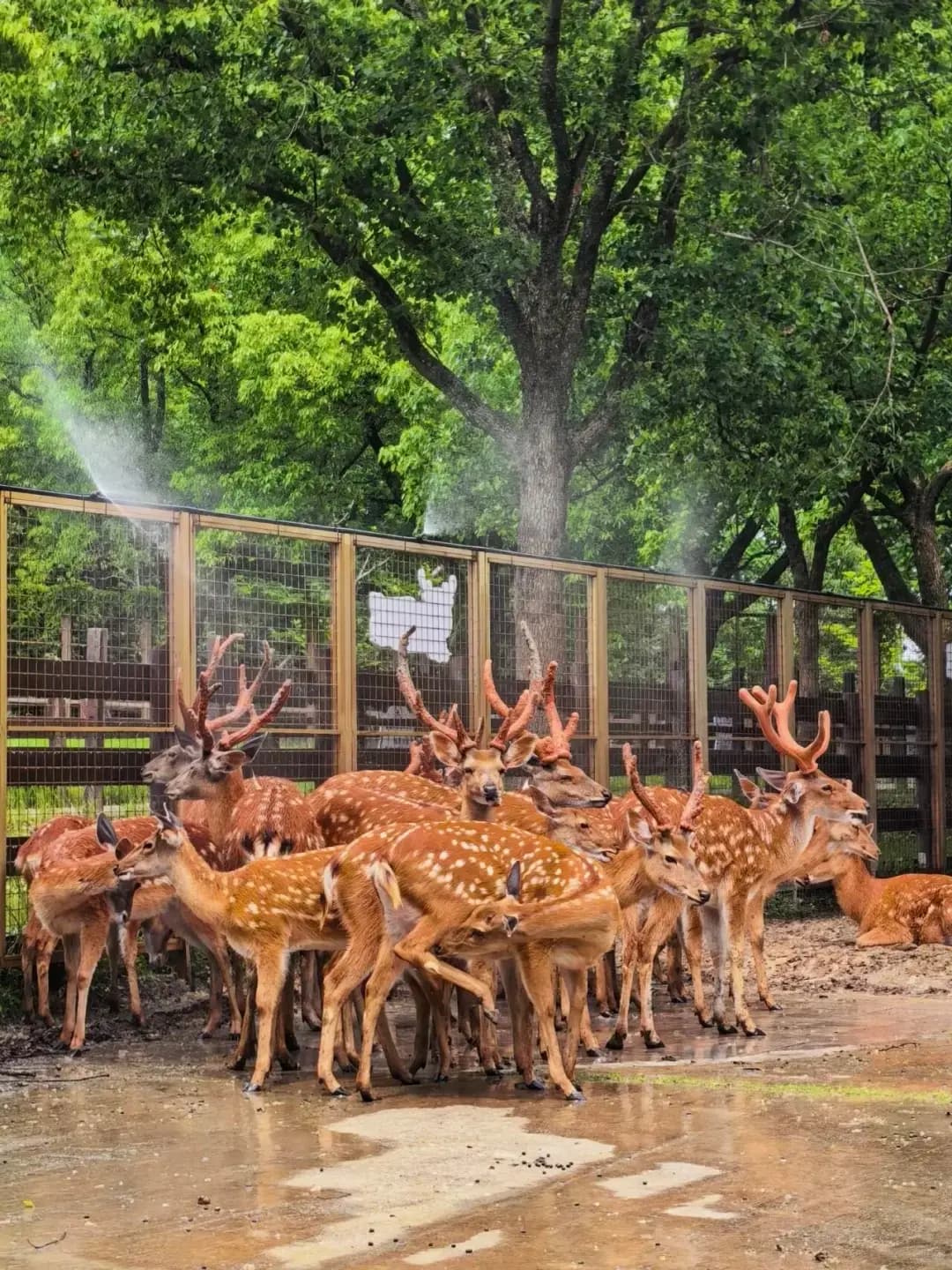 Hangzhou Liangzhu