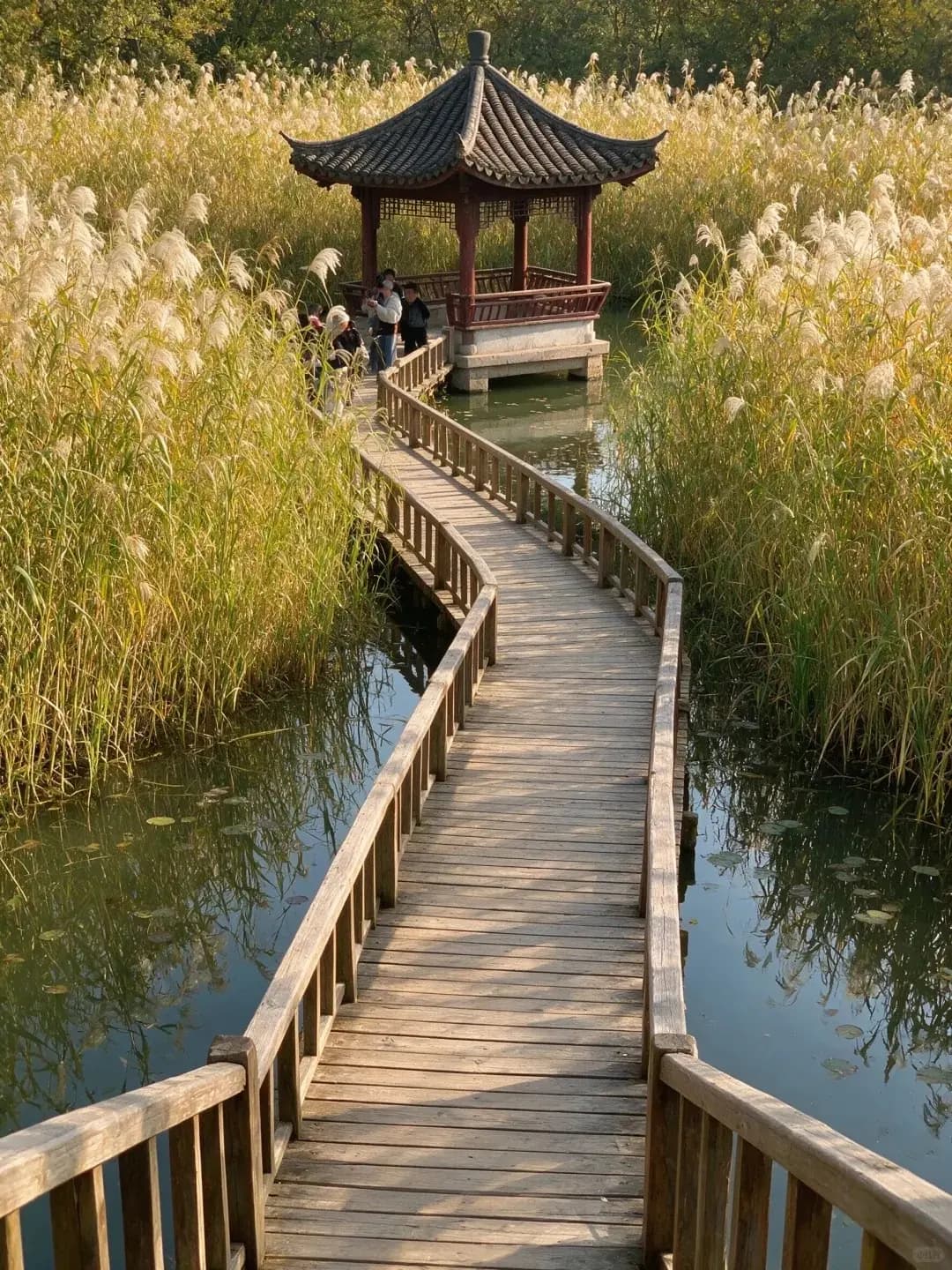 Xixi Wetland