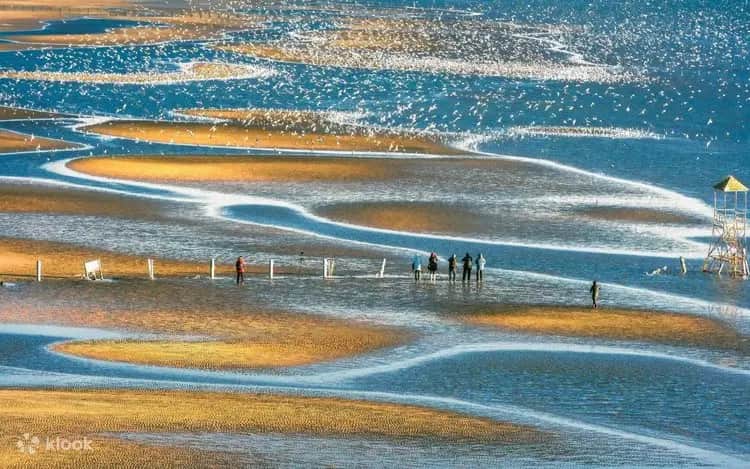 7 Days Tianjin, Qinhuangdao & Chengde Heritage Tour: Great Wall & Imperial China