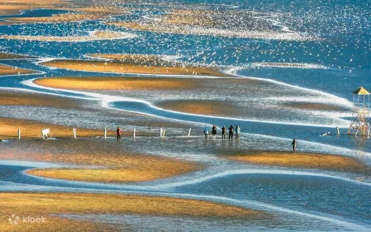 7 Days Tianjin, Qinhuangdao & Chengde Heritage Tour: Great Wall & Imperial China