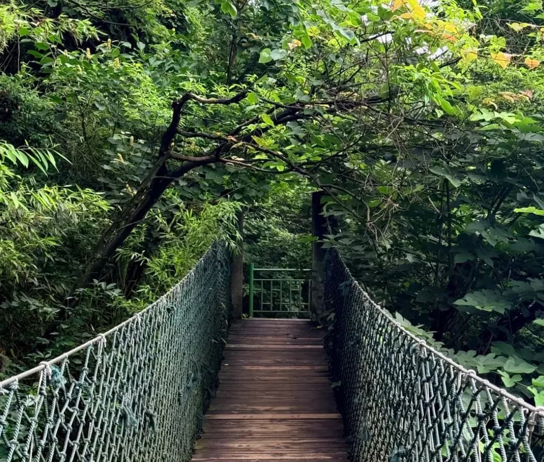 Hole Scenic Spot Hiking Experience