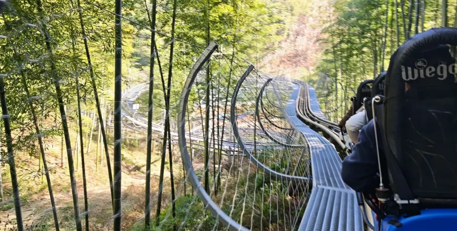 Bamboo Forest Slide (One-Way Ride)