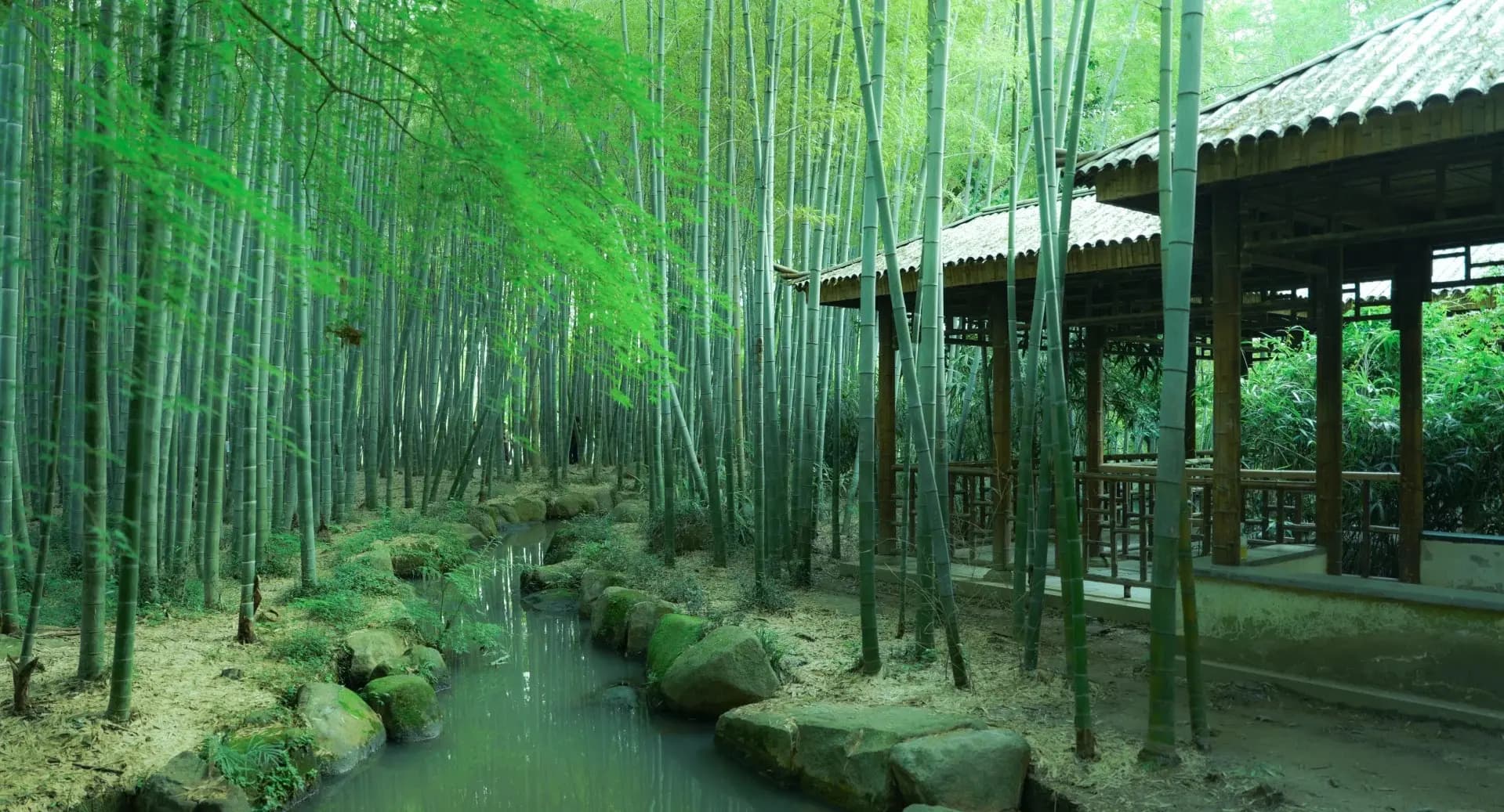 Tiger Hill-suzhou tour