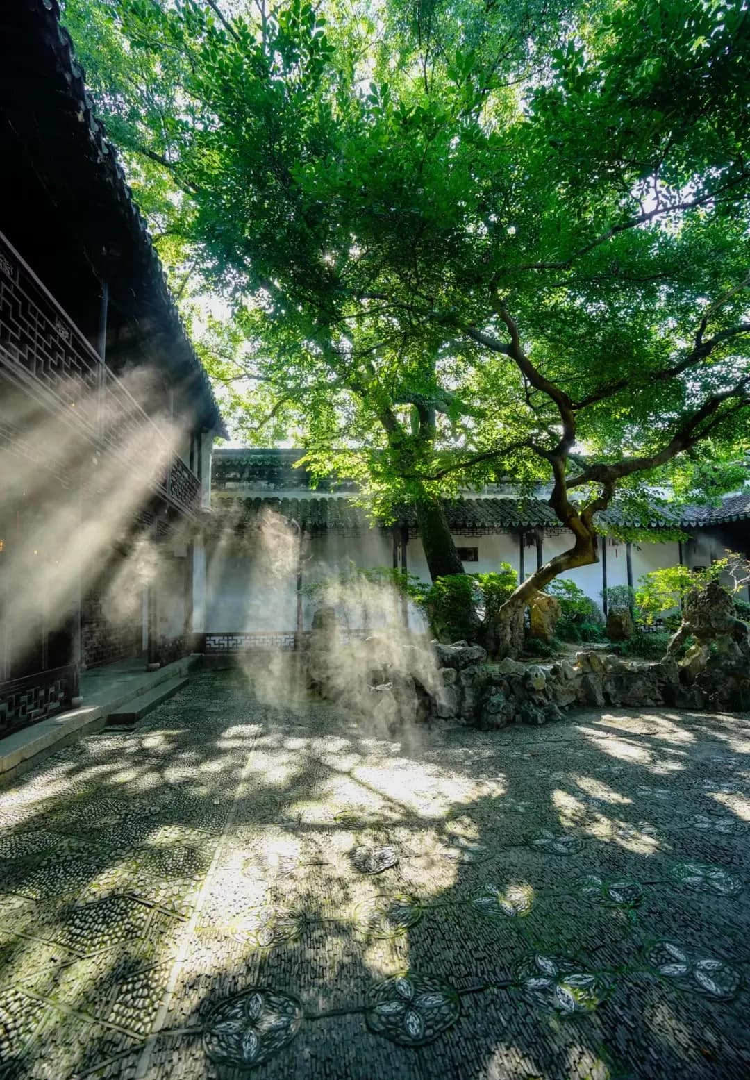 Retreat & Reflection Garden suzhou (1)
