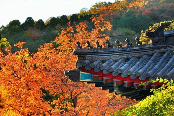 Fragrant Hills BJ CN