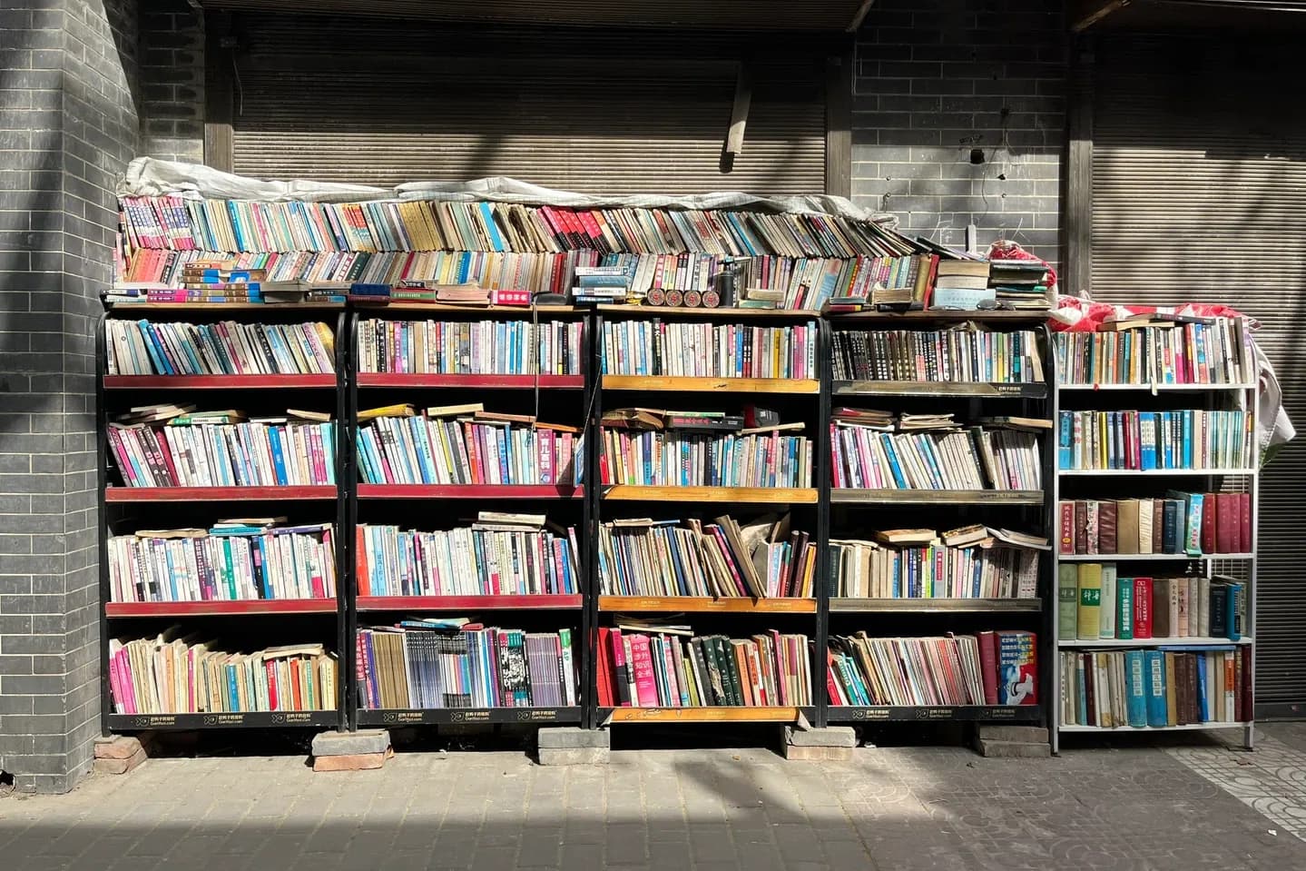 Xi'an Xicang Bird Market 1 (4)