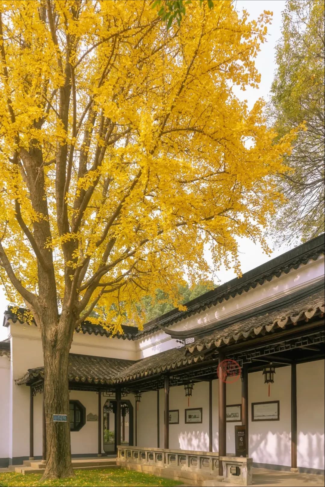 Mountain Villa of Embracing Beauty suzhou (3)