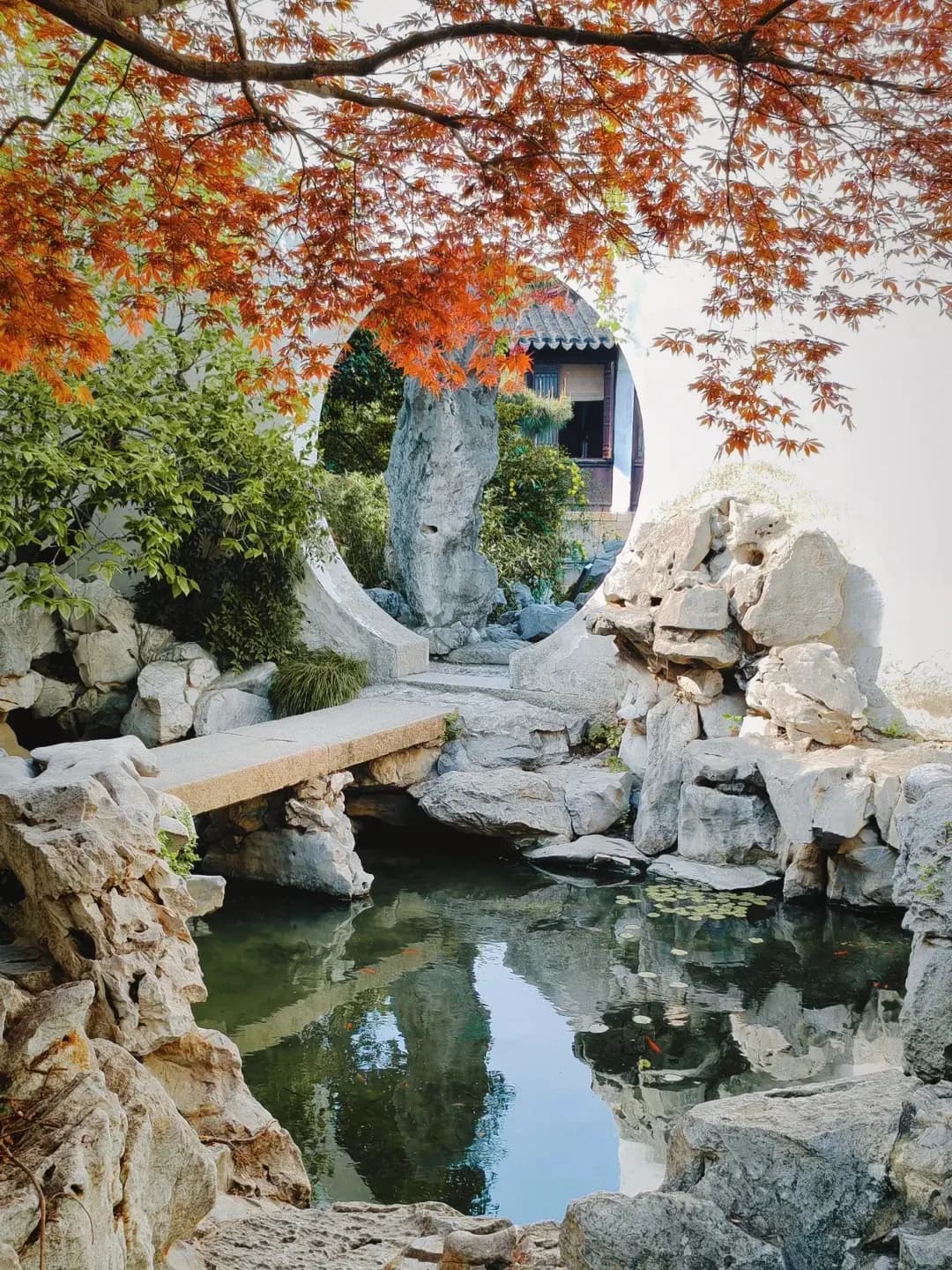 Garden of Cultivation suzhou (5)