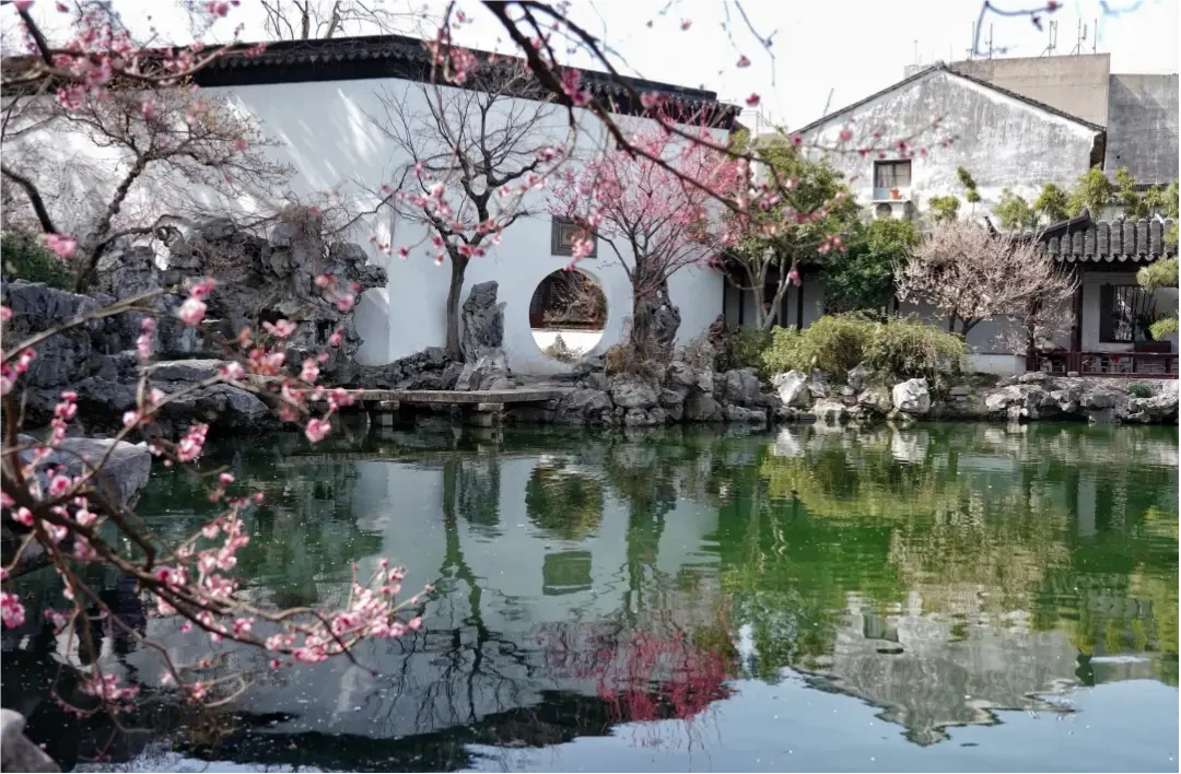 Garden of Cultivation suzhou (1)