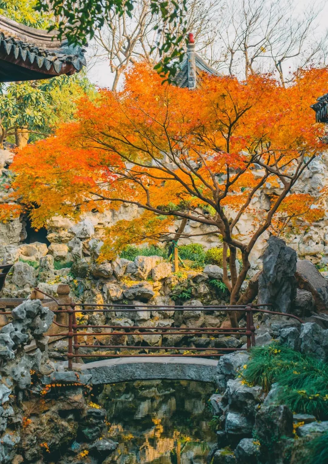 Yi Garden suzhou (3)