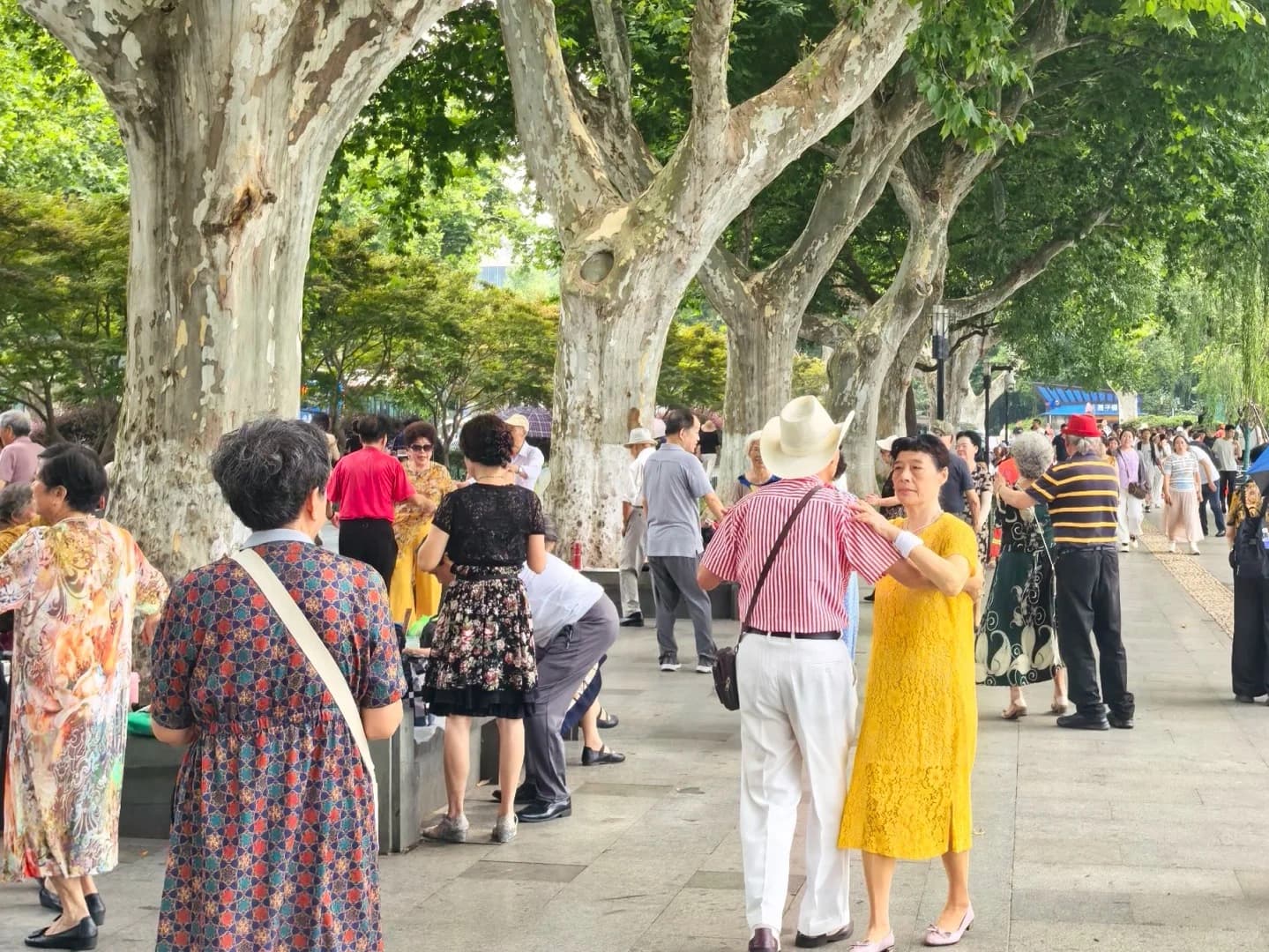 West Lake Morning Local Life Experience