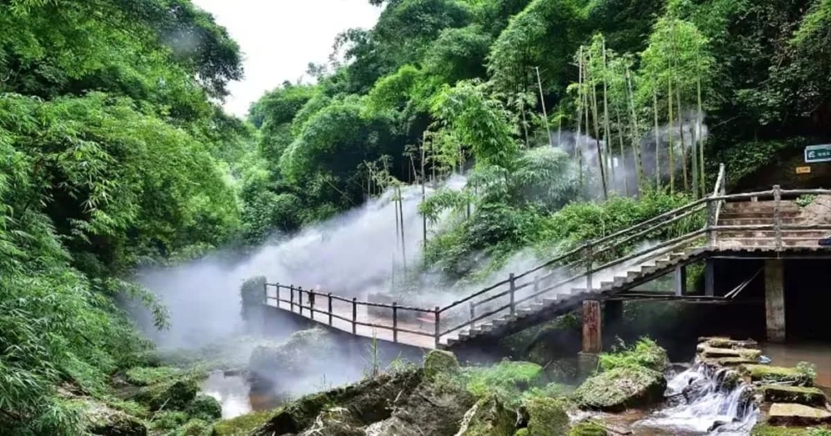 1- Day Chengdu Western Sichuan Bamboo Sea & Pingle Ancient Town Private Tour