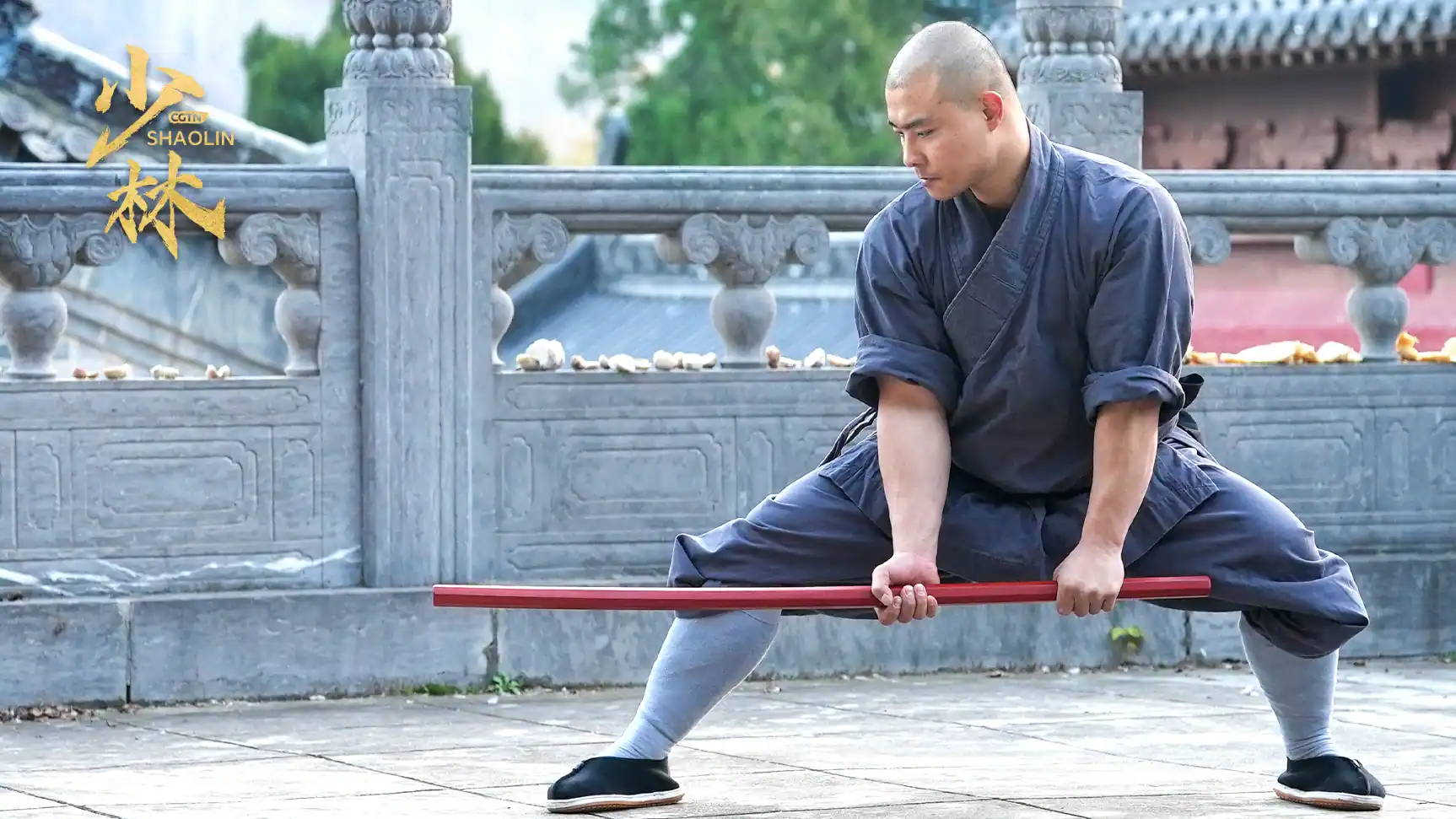 Beijing to Luoyang Day Tour by High-Speed Train: Shaolin Kung Fu & Ancient Wonders