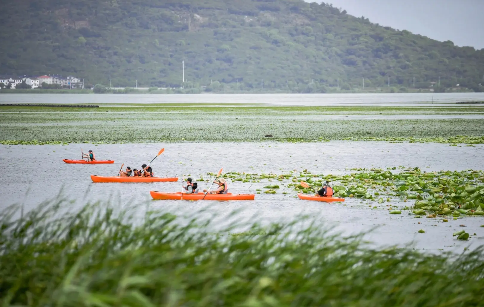 Summer Taihu Lake Kayaking and Lotus Picking Experience