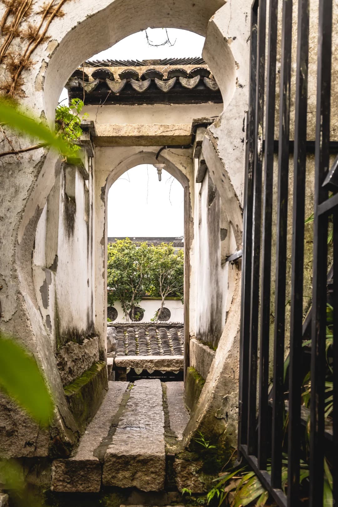Hidden Lanes and Quiet Corners of Luxiang Ancient Village