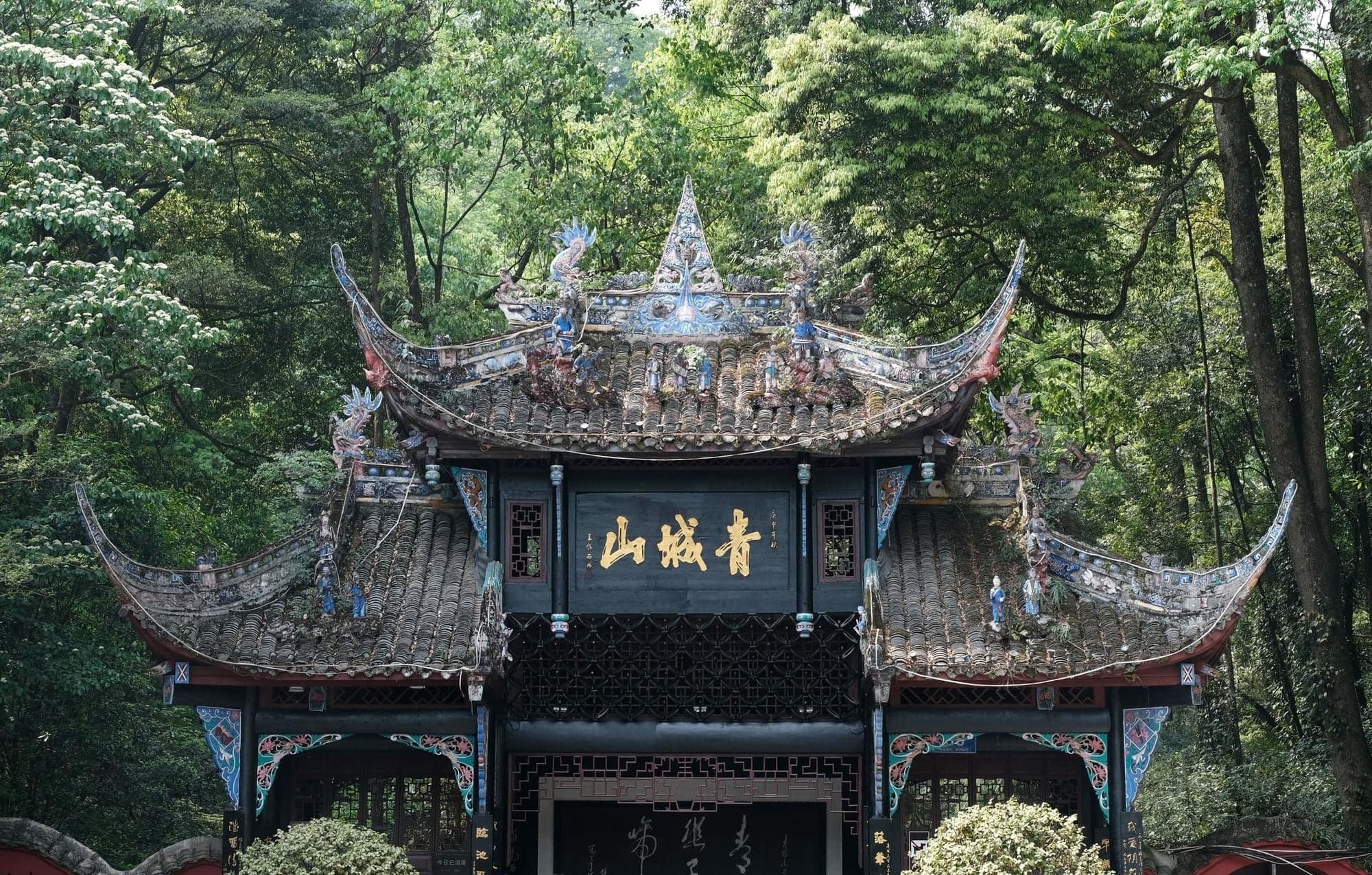 Qingcheng Mountain Taoist Culture